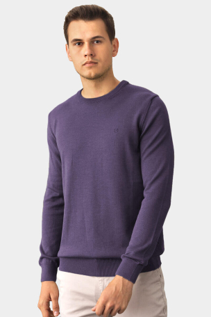 Μονόχρωμο ανδρικό πουλόβερ 33006-48 MCL