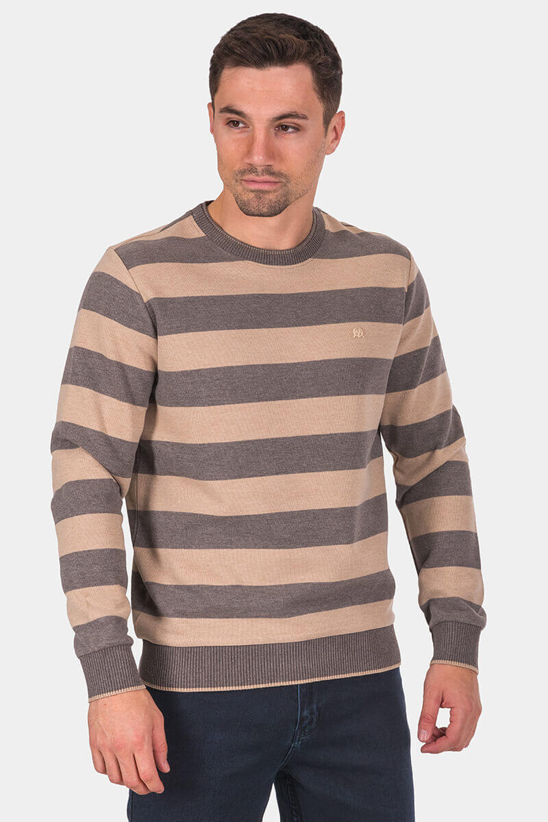 Ανδρικό ριγέ πουλόβερ 36477-45 MCL
