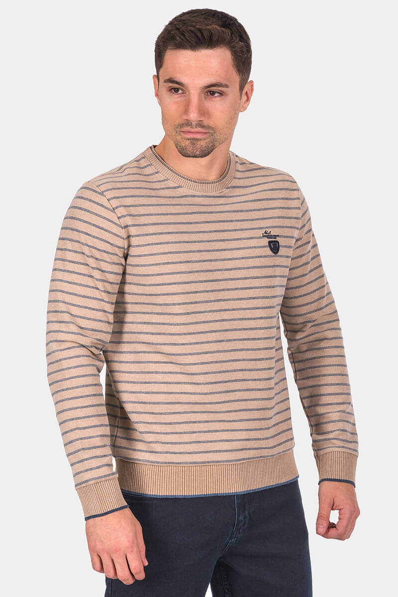 Ανδρικό ριγέ πουλόβερ 39681-45 MCL
