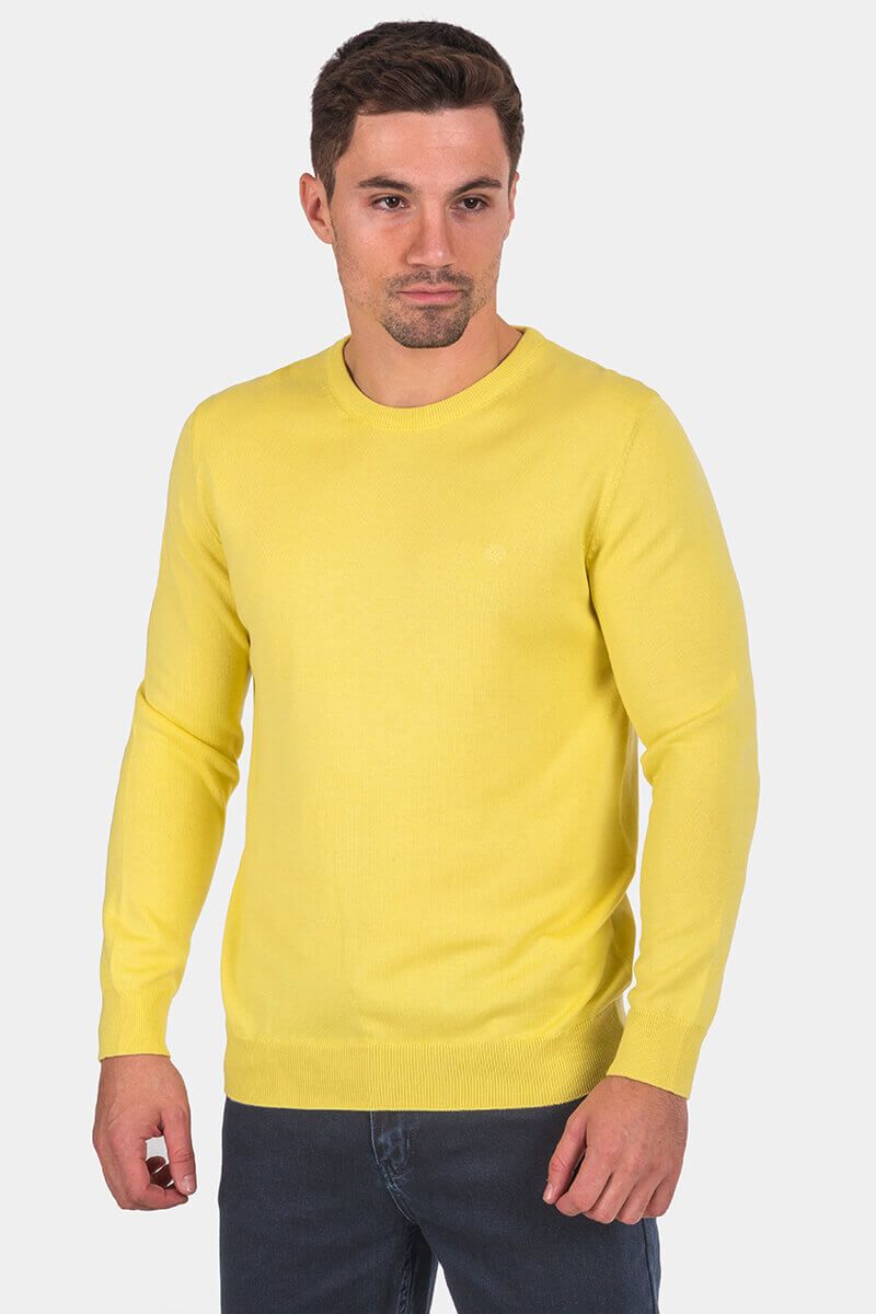 Μονόχρωμο ανδρικό πουλόβερ 33006-12 MCL